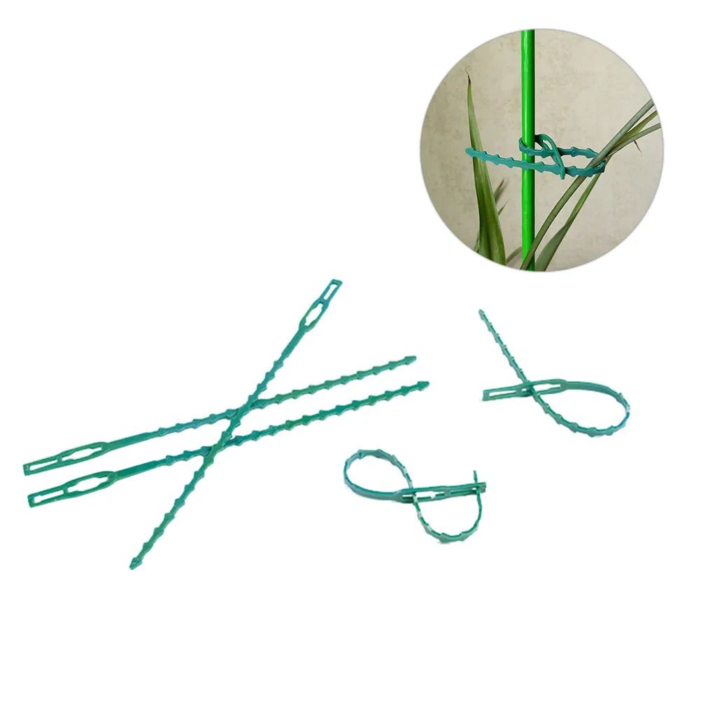 100 Pcs Garden Tying Ties Vine Climbing Plant Cable Reusable Lace up Gardening Fixing
100 Pcs Garden Tying Ties Vine Climbing Plant Cable Reusable Lace up Gardening Fixing