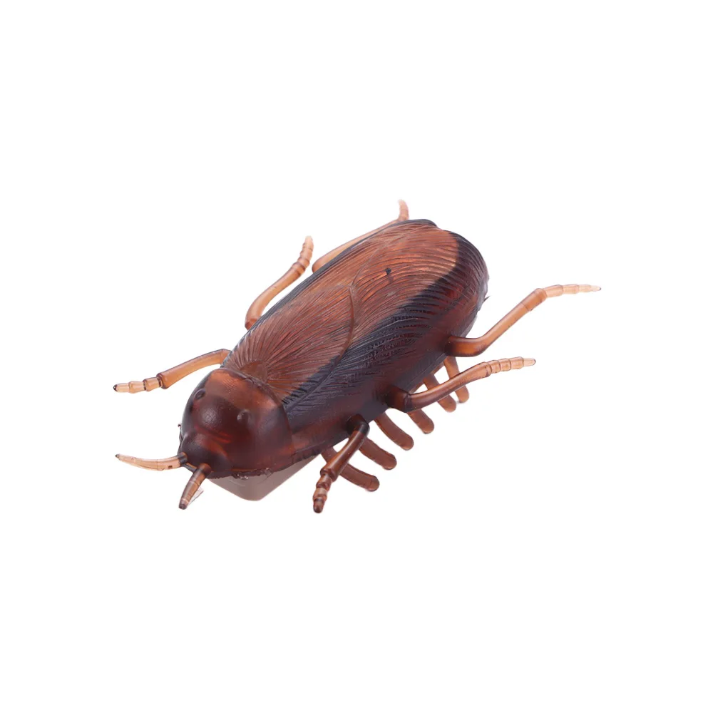 Pet Cat Puppy Novelty Gag Toys Electronic Training Play Toy Cockroach Battery Kids
Pet Cat Puppy Novelty Gag Toys Electronic Training Play Toy Cockroach Battery Kids