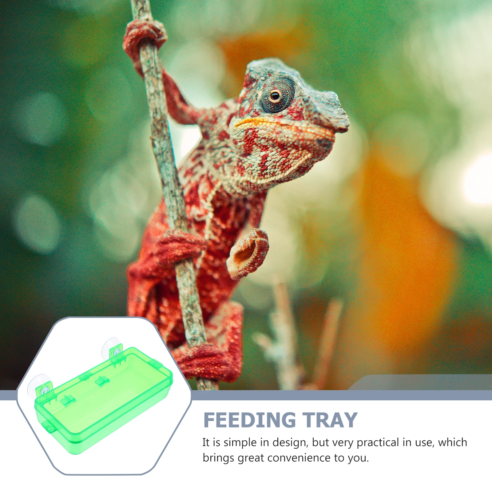 2pcs Anti-escape Reptile Water Basin Suction Cup Food Bowls Glass Feeding Container Transparent Terrarium for Geckos
2pcs Anti-escape Reptile Water Basin Suction Cup Food Bowls Glass Feeding Container Transparent Terrarium for Geckos