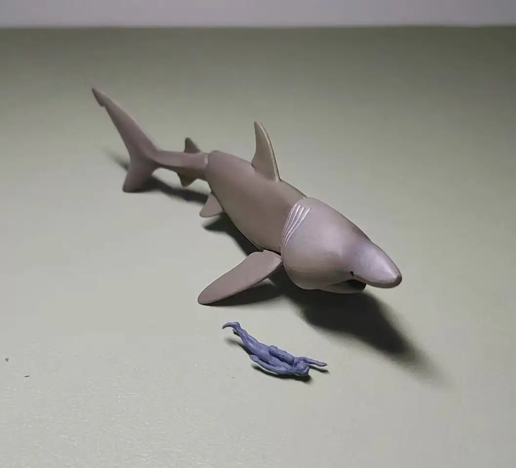 Оригинальные игрушки Sea Life THE SHARK Gashapon, имитация фигурки, модель, украшения, игрушки 
Оригинальные игрушки Sea Life THE SHARK Gashapon, имитация фигурки, модель, украшения, игрушки