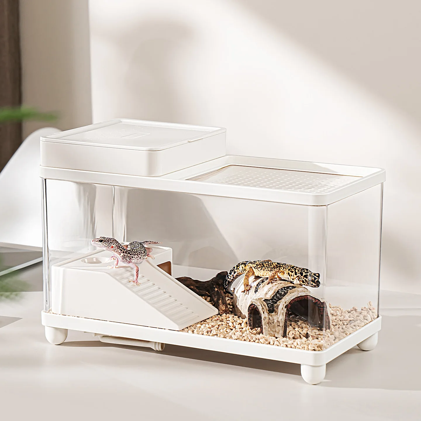 Резервуар для разведения черепахи, экологический ландшафтный домашний аквариум с крышкой, платформа для восхождения домашних животных, ящик для разведения большой емкости
Резервуар для разведения черепахи, экологический ландшафтный домашний аквариум с крышкой, платформа для восхождения домашних животных, ящик для разведения большой емкости