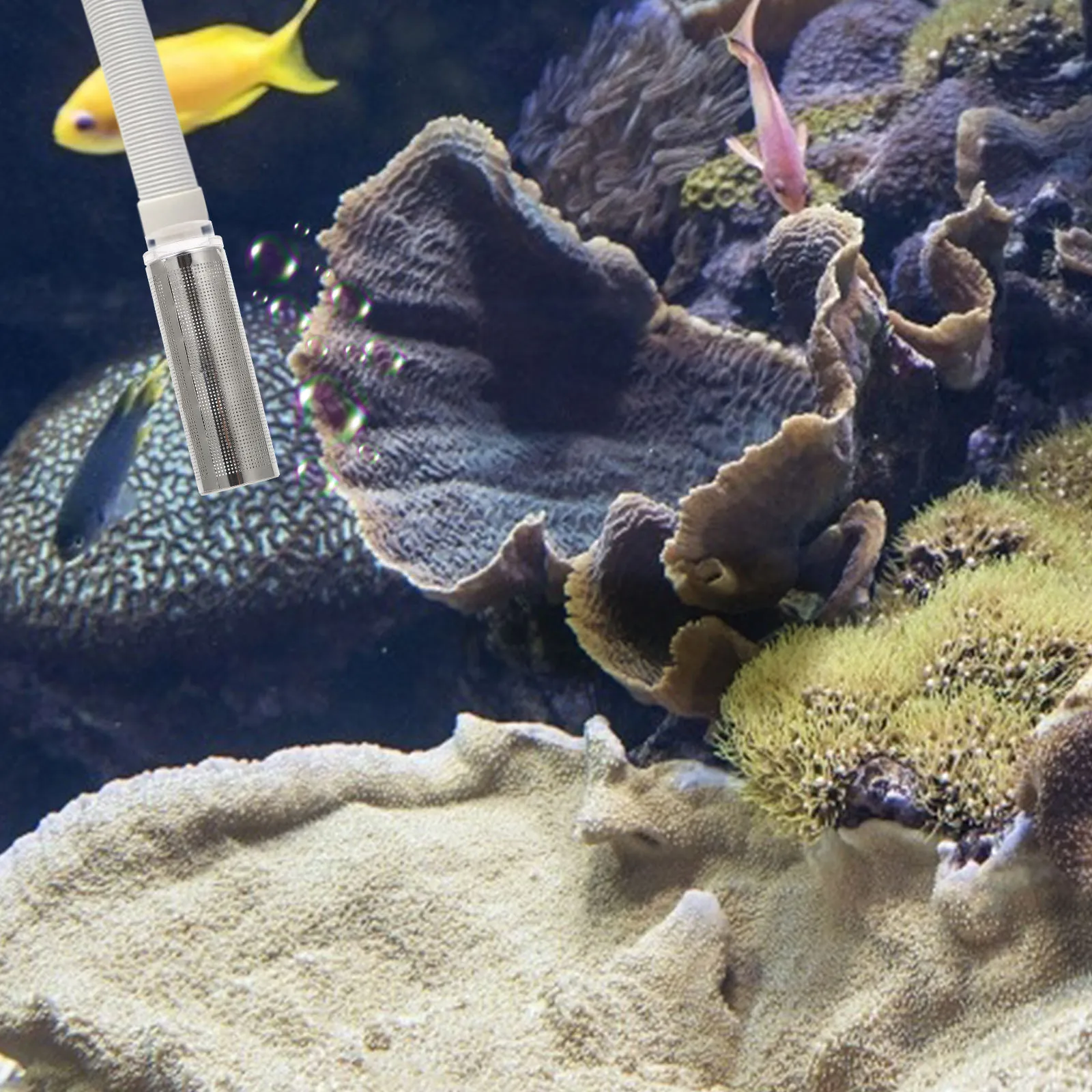 1Pcs Aquarium Filter Mesh Cover Stainless Steel Acrylic Rust Resistant Protector for Fish Tank Waterfall Filter Strainer Net
1Pcs Aquarium Filter Mesh Cover Stainless Steel Acrylic Rust Resistant Protector for Fish Tank Waterfall Filter Strainer Net