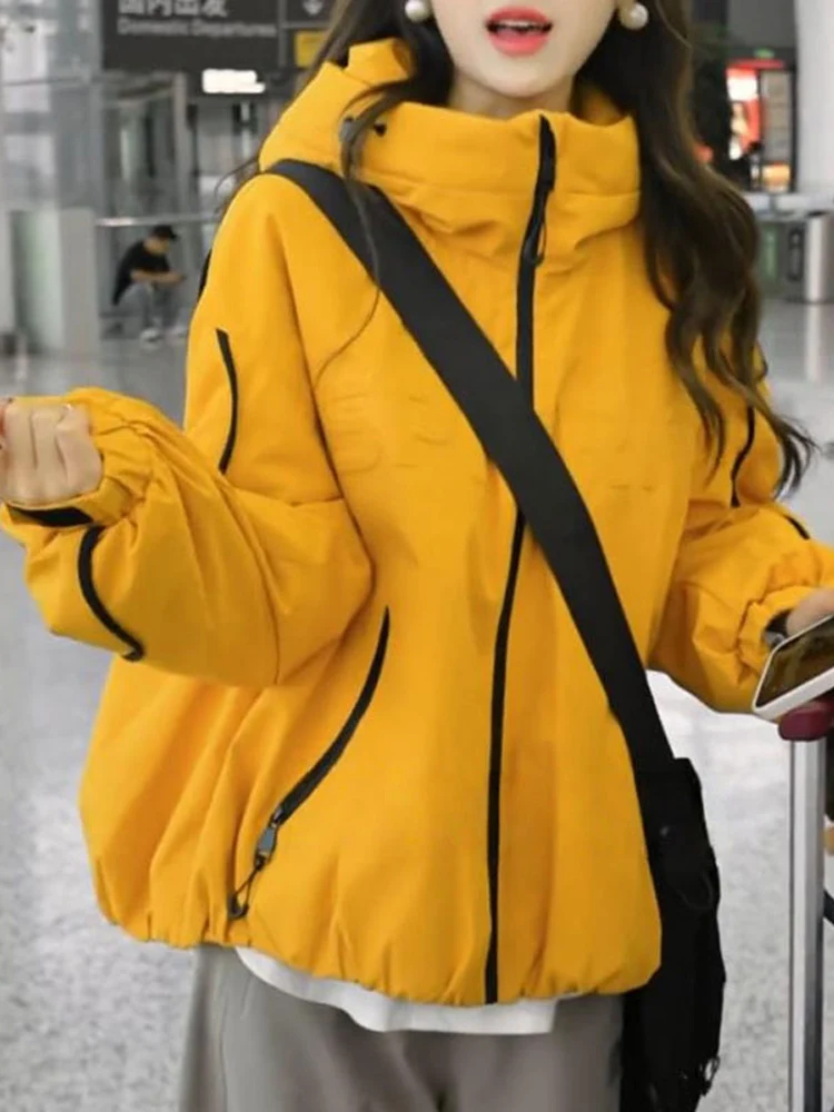 Women's down Cotton Jaet Loose Design Winter Coat Small Size Trendy Cotton Clothes Straight Tube Sle Korean Version
Women's down Cotton Jaet Loose Design Winter Coat Small Size Trendy Cotton Clothes Straight Tube Sle Korean Version