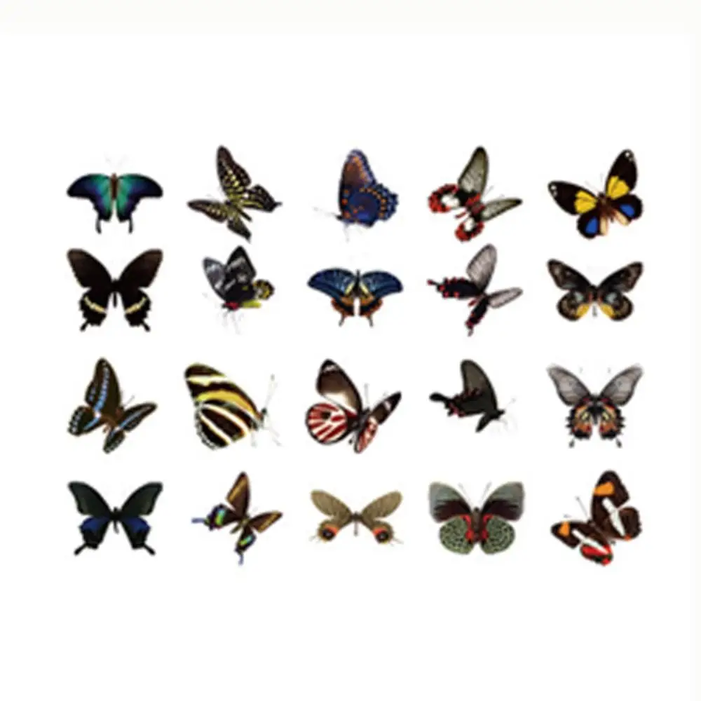 40 шт. DIY красочная бабочка наклейка для скрапбукинга водостойкая ПВХ канцелярская наклейка INS стиль винтажная мобильная наклейка Скрапбукинг
40 шт. DIY красочная бабочка наклейка для скрапбукинга водостойкая ПВХ канцелярская наклейка INS стиль винтажная мобильная наклейка Скрапбукинг