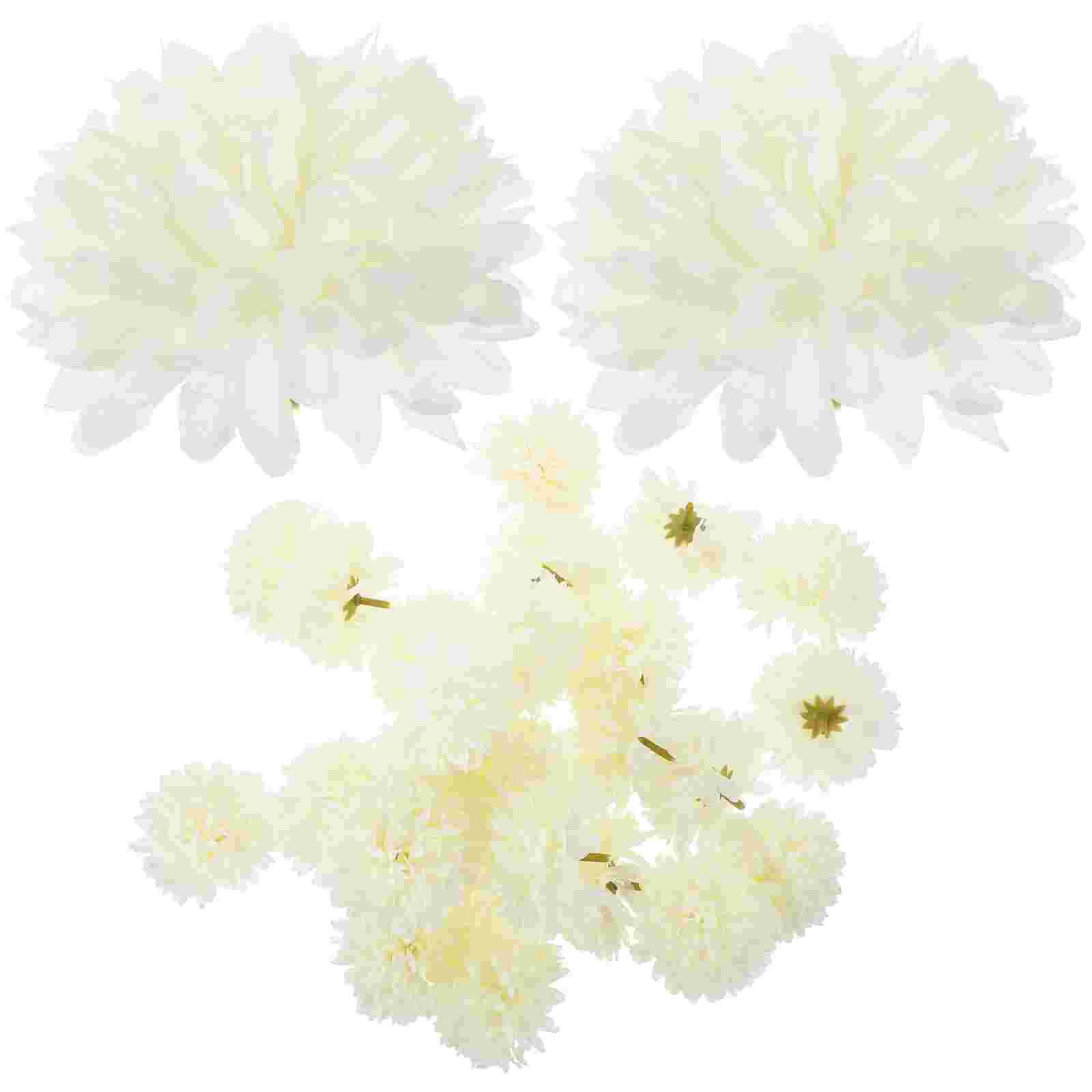 Simulation Artificial Flower Decoration DIY Chrysanthemum Photography Props Dried Bouquet
Simulation Artificial Flower Decoration DIY Chrysanthemum Photography Props Dried Bouquet