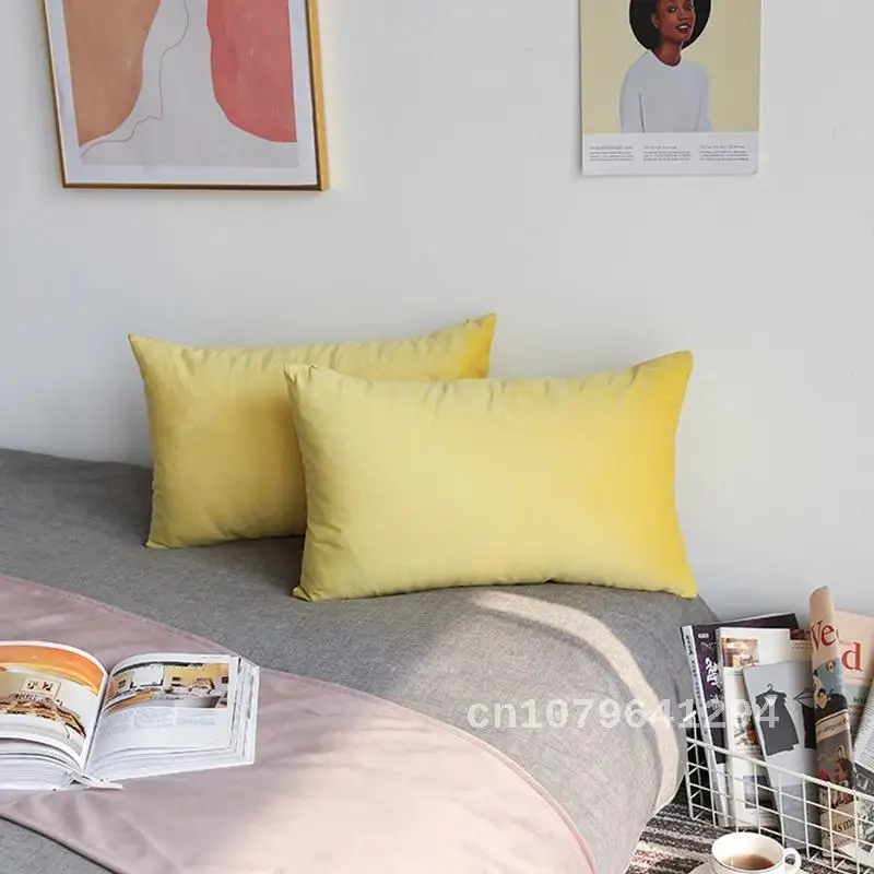 Nordic Decoration Decorative Pillows 30x50cm Housse De Coussin Living Room Sofa Velvet Pillow Cover Super Soft Cushion Cover
Nordic Decoration Decorative Pillows 30x50cm Housse De Coussin Living Room Sofa Velvet Pillow Cover Super Soft Cushion Cover