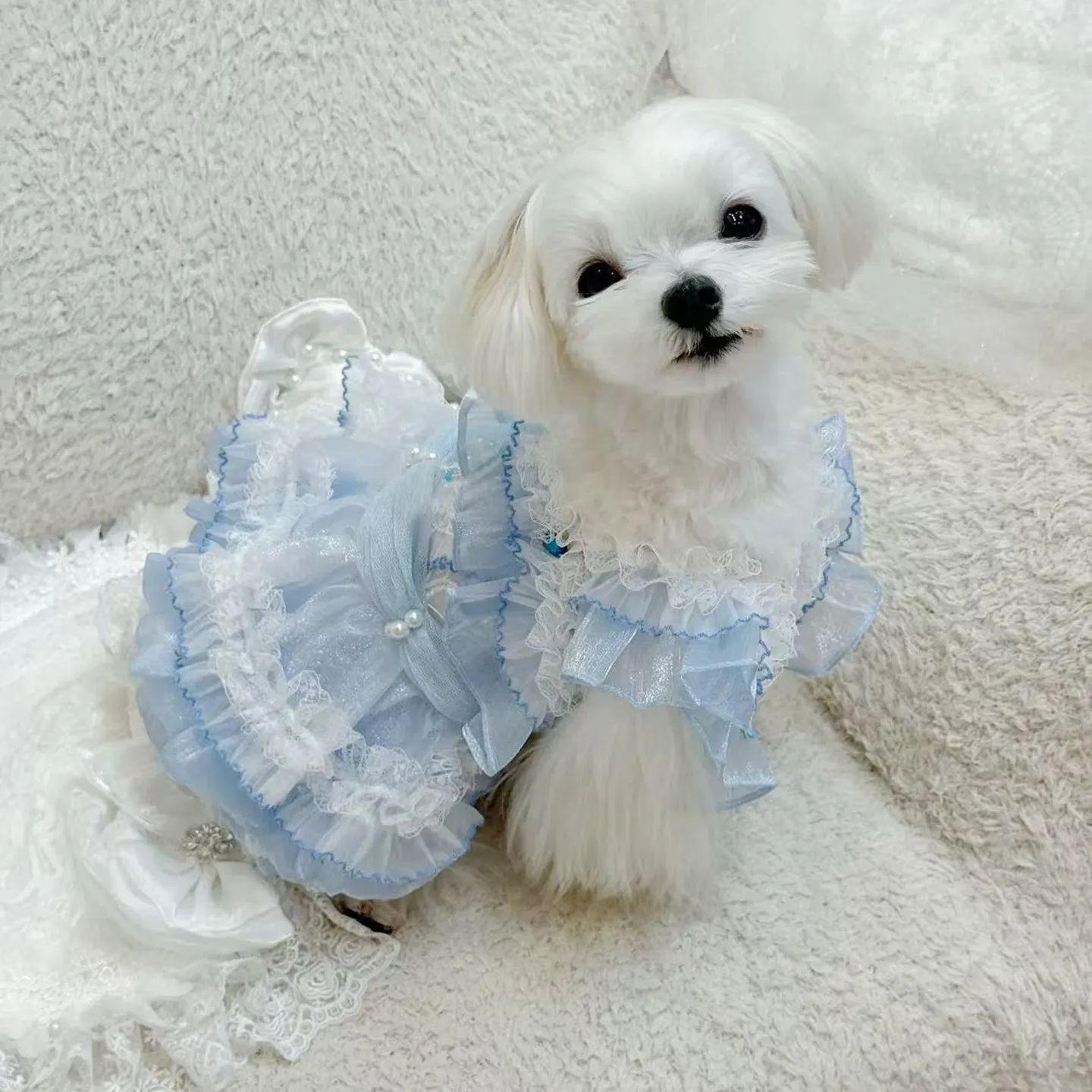Handmade Blue Lace Ruffle Pearl Bow Cinderella Puppy Costume Stylish Outfit for Small Dogs Kittens Wedding Birthday Photography
Handmade Blue Lace Ruffle Pearl Bow Cinderella Puppy Costume Stylish Outfit for Small Dogs Kittens Wedding Birthday Photography