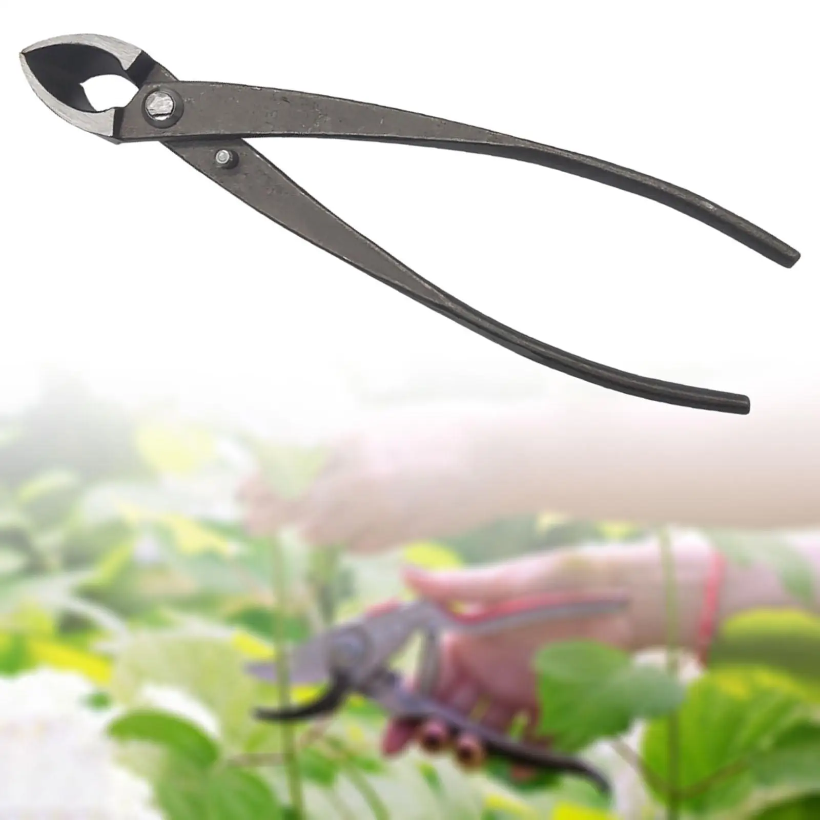 210mm Garden Branch Cutter Beginner Cutter Pruning Shear for Bonsai
210mm Garden Branch Cutter Beginner Cutter Pruning Shear for Bonsai