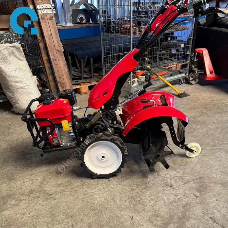 Микротрактор с полным приводом, роторный, с прямым приводом, задний роторный микрокультиватор, сельскохозяйственная почвообрабатывающая машина
Микротрактор с полным приводом, роторный, с прямым приводом, задний роторный микрокультиватор, сельскохозяйственная почвообрабатывающая машина