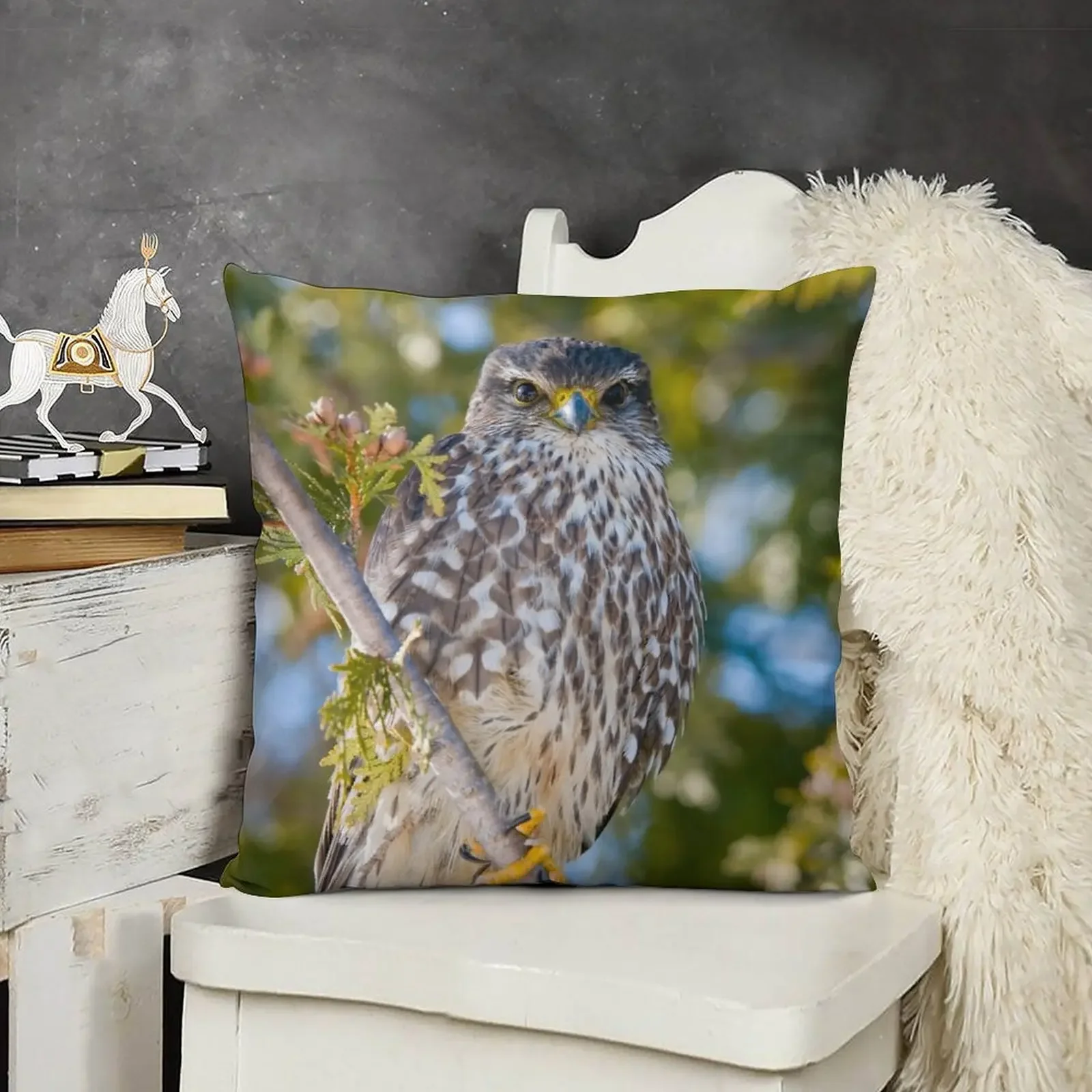 Merlin Falcon Throw Pillow Pillow Case christmas ornaments 2025 christmas decorations 2025 Sofa Pillow Cover
Merlin Falcon Throw Pillow Pillow Case christmas ornaments 2025 christmas decorations 2025 Sofa Pillow Cover
