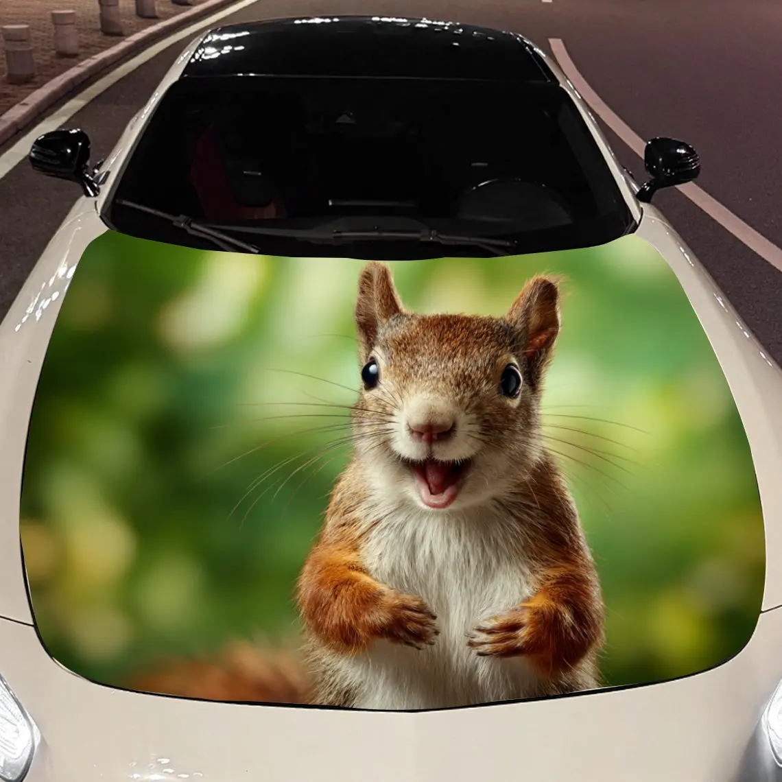 Car Decals Cute Squirrel with Green Background Car Hood Sticker, Waterproof Self - Adhesive Vinyl Graphics Decals, Decorative Pr
Car Decals Cute Squirrel with Green Background Car Hood Sticker, Waterproof Self - Adhesive Vinyl Graphics Decals, Decorative Pr