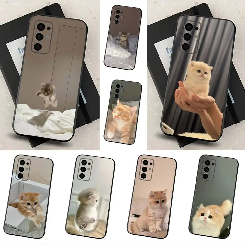 Cute Animals Clingy Cats Phone Case For Samsung Galaxy A73,31,32,72,41,53,52,71,22,5G,Note,J7,8,9 Soft Black Cover
Cute Animals Clingy Cats Phone Case For Samsung Galaxy A73,31,32,72,41,53,52,71,22,5G,Note,J7,8,9 Soft Black Cover