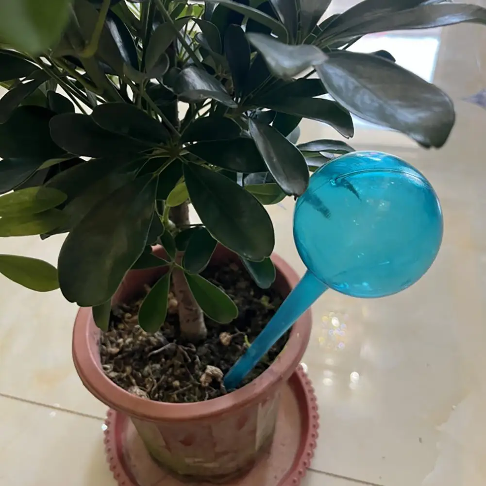 Watering Bulbs Effortless Plant Care 12pcs Transparent Automatic Watering Globes for Indoor Outdoor Plants Simple Installation
Watering Bulbs Effortless Plant Care 12pcs Transparent Automatic Watering Globes for Indoor Outdoor Plants Simple Installation