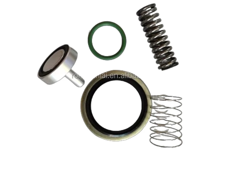 Minimum Pressure Valve Maintenance Kit for Air Compressor Parts 2901141100 1092918624
Minimum Pressure Valve Maintenance Kit for Air Compressor Parts 2901141100 1092918624