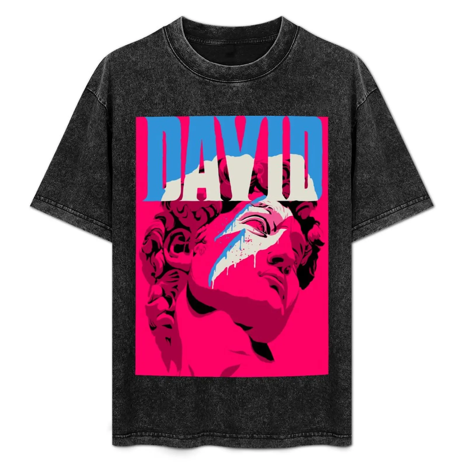 Reversed David T-Shirt Basic Tee Shirt for Everyday Outfit
Reversed David T-Shirt Basic Tee Shirt for Everyday Outfit