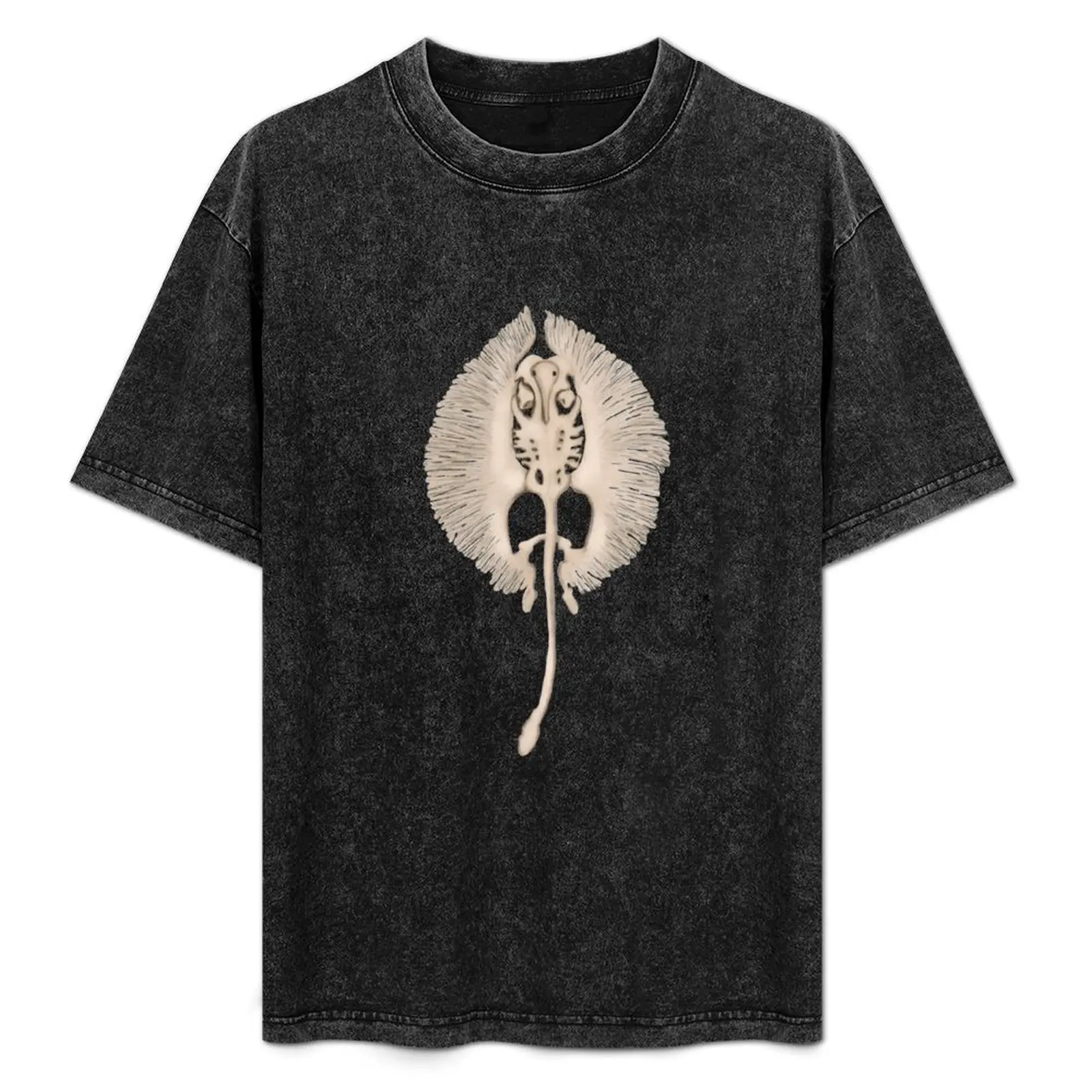 Skeleton Stingray T-Shirt Graphic Print Short Sleeve T-Shirt
Skeleton Stingray T-Shirt Graphic Print Short Sleeve T-Shirt