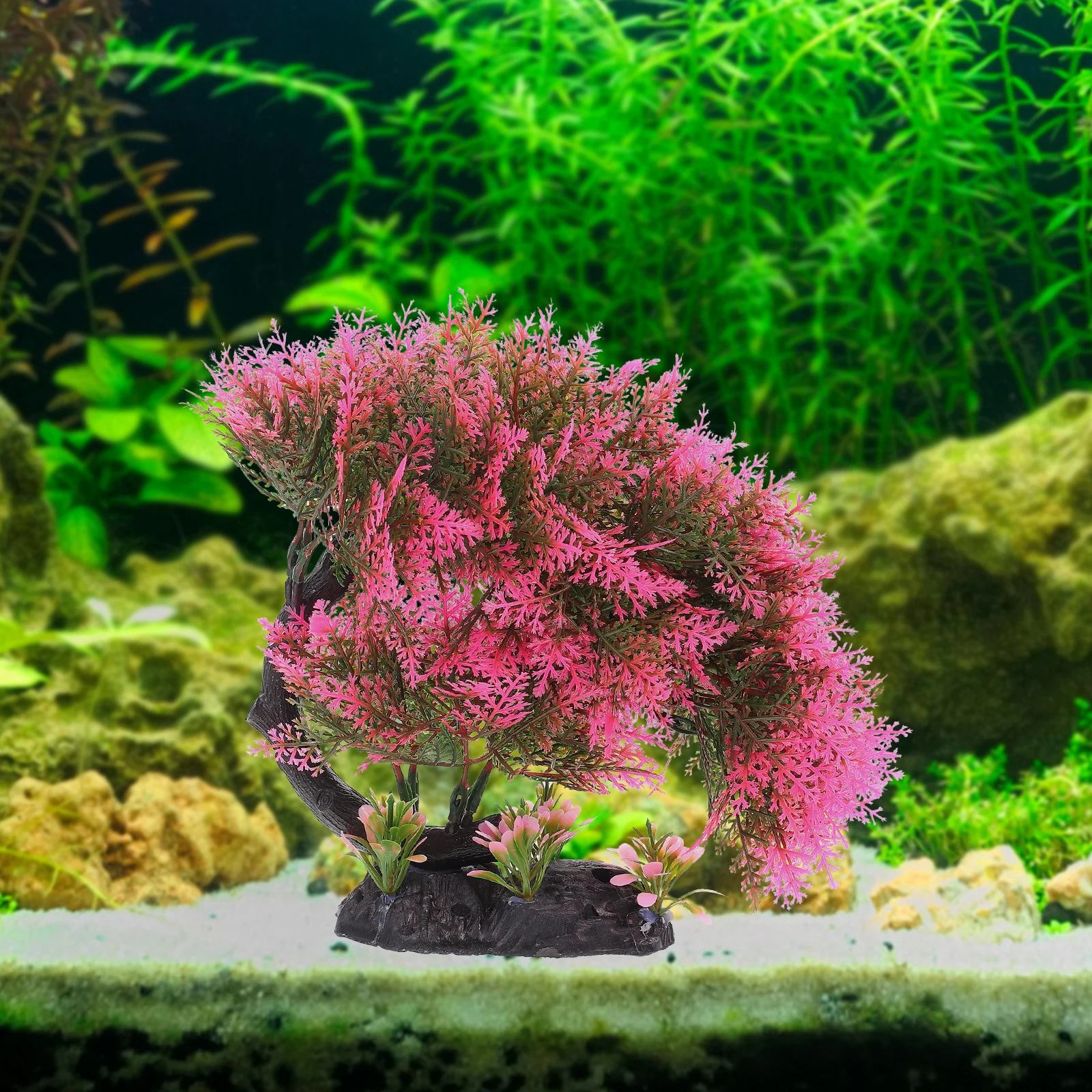 Faux Pine Decor for Fish Tank Aquarium Vivid Turtle Accessory Plastic Decorations Imitated Pine Desktop Aquarium Decor Model
Faux Pine Decor for Fish Tank Aquarium Vivid Turtle Accessory Plastic Decorations Imitated Pine Desktop Aquarium Decor Model