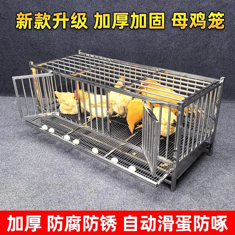 New thickened stainless steel chicken cage, automatic roll-out chicken cage, household breeding chicken nest widened
New thickened stainless steel chicken cage, automatic roll-out chicken cage, household breeding chicken nest widened