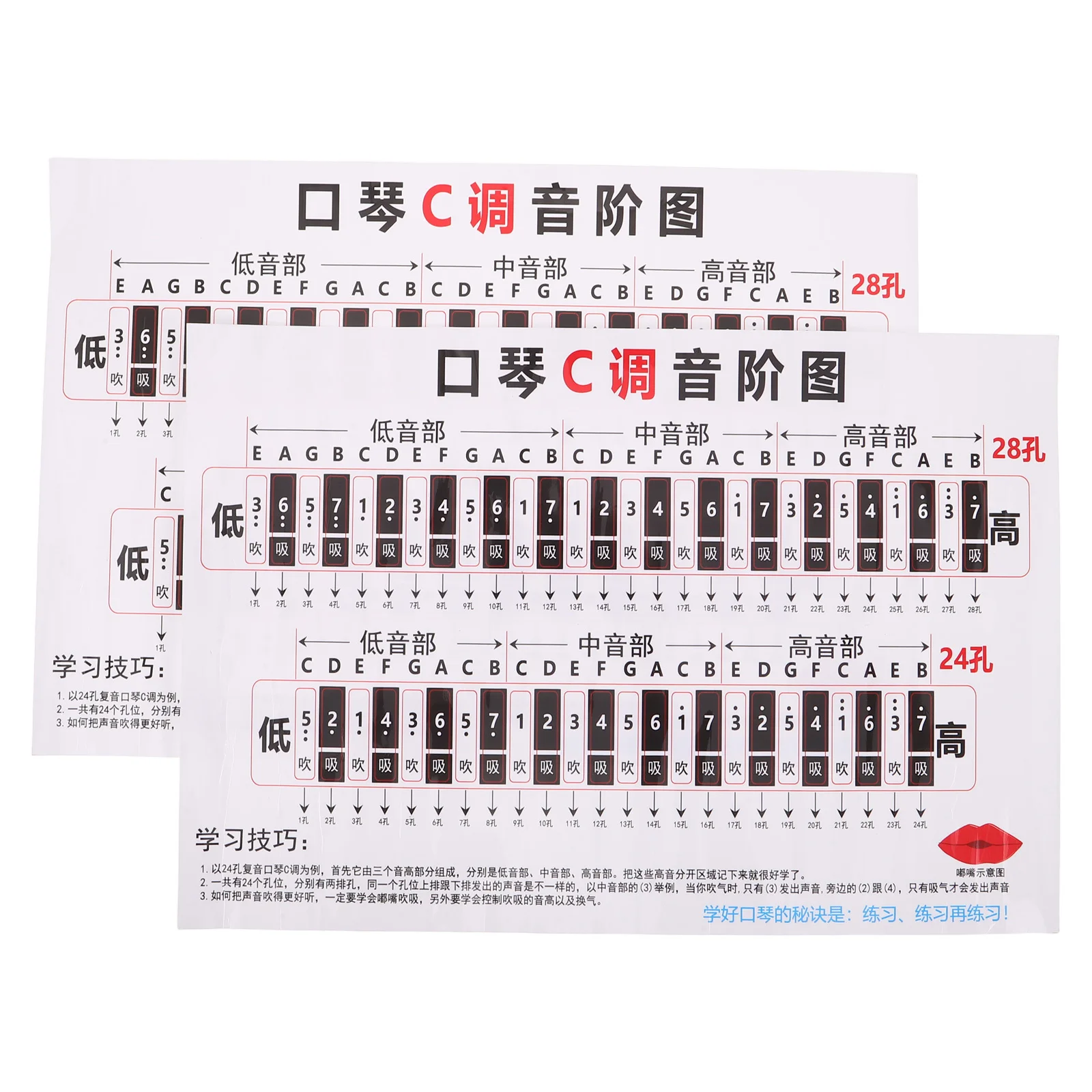 Self-Teaching Harmonica Note Marker Stickers Colorful Labels for Beginners Practice Training Educational Music Tool
Self-Teaching Harmonica Note Marker Stickers Colorful Labels for Beginners Practice Training Educational Music Tool