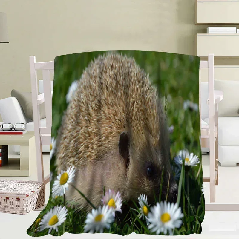 Animal Hedgehog Pattern Flannel Throw Blanket Soft Warm Sofa Bed Decor Blanket Kids Adult Travel Camping Gifts Blanket King Size
Animal Hedgehog Pattern Flannel Throw Blanket Soft Warm Sofa Bed Decor Blanket Kids Adult Travel Camping Gifts Blanket King Size