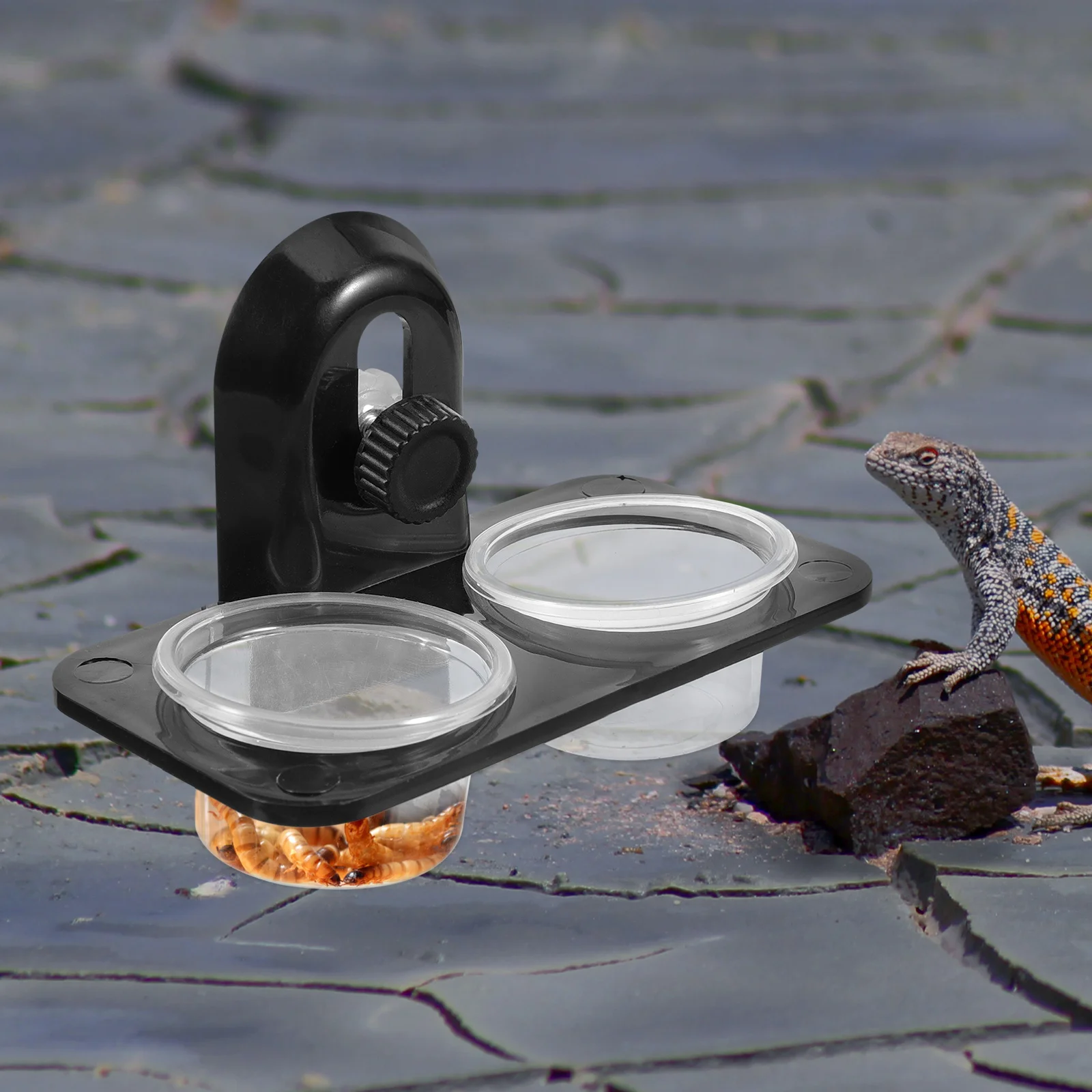 Terrarium Reptiles Water Turtles Accessories Bearded Dragon Gecko Leopard Pet Bowls Food Feeding
Terrarium Reptiles Water Turtles Accessories Bearded Dragon Gecko Leopard Pet Bowls Food Feeding