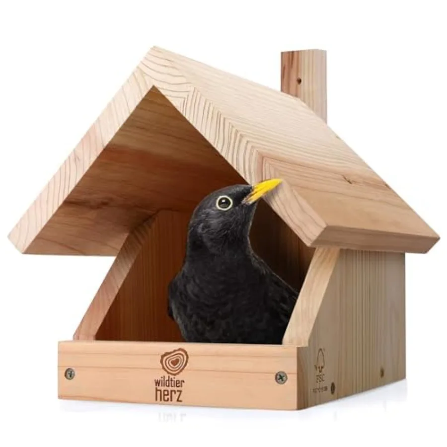 Solid Wood Blackbird Nesting Box - Weatherproof and Untreated, Wooden Bird Houses for Semi-Cavity Breeders - Blackbirds, Robins
Solid Wood Blackbird Nesting Box - Weatherproof and Untreated, Wooden Bird Houses for Semi-Cavity Breeders - Blackbirds, Robins