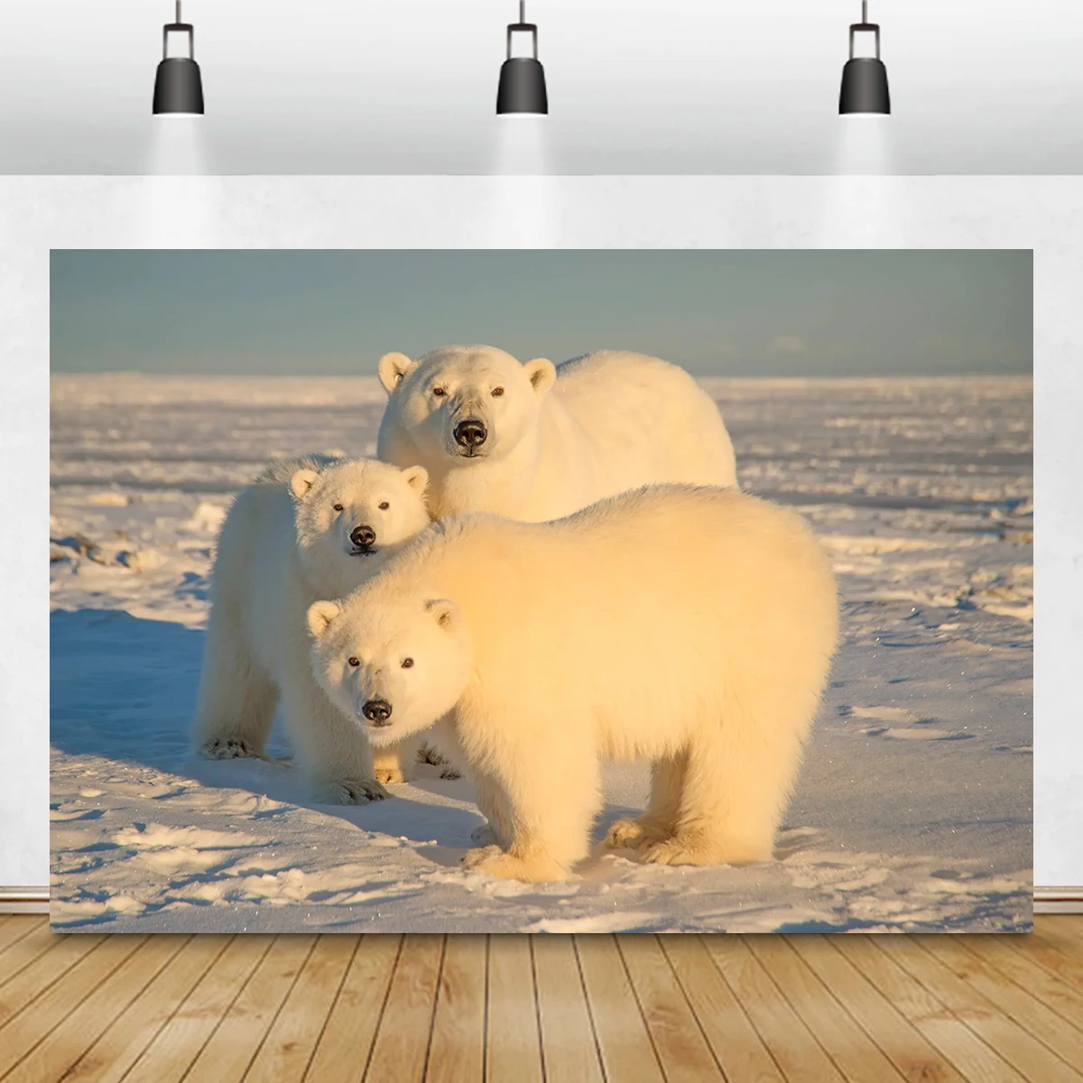 Cute Polar Bear Backdrop Aurora River Living Wall Decoration School Art Street Theme Party Bar Decor Photography background
Cute Polar Bear Backdrop Aurora River Living Wall Decoration School Art Street Theme Party Bar Decor Photography background