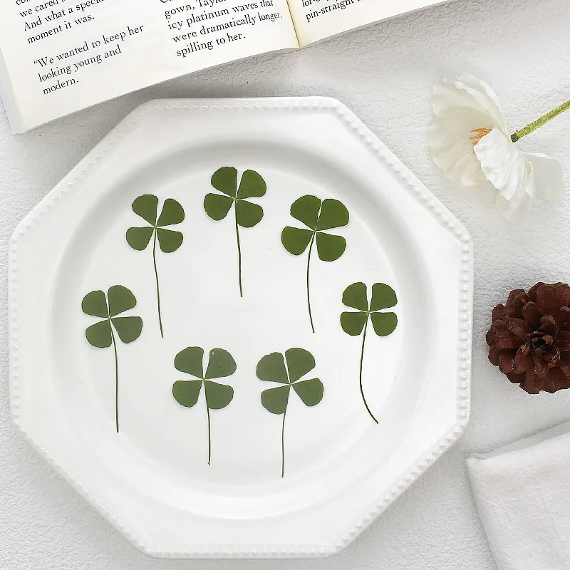 100 Four-Leaf Clover Leaf Specimens, Lucky Clover Resin Nail Art Dried Flowers, DIY Handmade Materials, Natural Real Flower Pressed Flower Materials, Face Decorations
100 Four-Leaf Clover Leaf Specimens, Lucky Clover Resin Nail Art Dried Flowers, DIY Handmade Materials, Natural Real Flower Pressed Flower Materials, Face Decorations