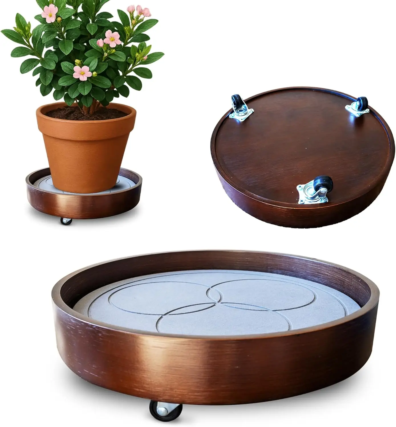 Подставка для растений на колесиках 12 дюймов с поворотом на 360 градусов ° Колесики с бамбуковым покрытием и впитывающим камнем для комнатных растений
Подставка для растений на колесиках 12 дюймов с поворотом на 360 градусов ° Колесики с бамбуковым покрытием и впитывающим камнем для комнатных растений