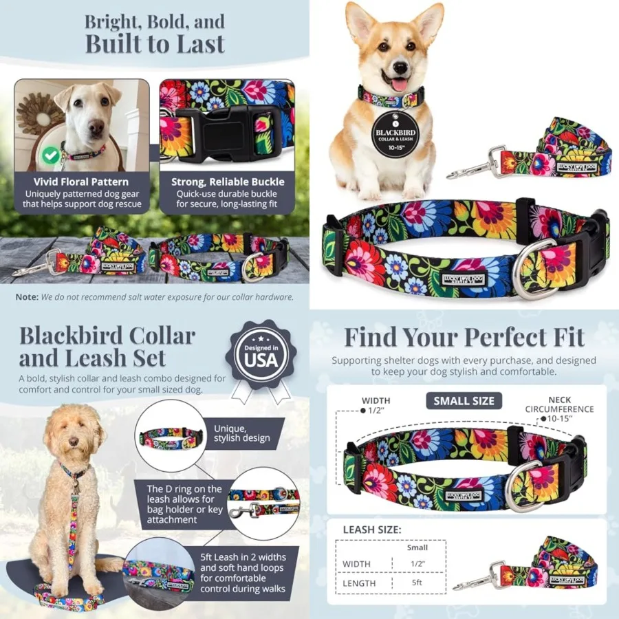 Easy Click Buckle Dog Collar with Leash Set Combo, Durable and Comfortable for Male and Female Dogs, Pet Collar for Small Dogs,
Easy Click Buckle Dog Collar with Leash Set Combo, Durable and Comfortable for Male and Female Dogs, Pet Collar for Small Dogs,