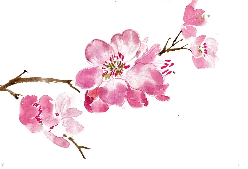 JINJIEAN B19 PRO Mini FPV Camera 2.1mm Lens FOV135° Power 5V-30V PAL/NTSC OSD Internal Adjustable For RC FPV Racing Drone
JINJIEAN B19 PRO Mini FPV Camera 2.1mm Lens FOV135° Power 5V-30V PAL/NTSC OSD Internal Adjustable For RC FPV Racing Drone