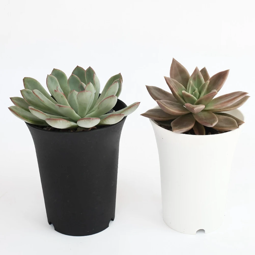 6Pcs Plastic Flowerpot Round Succulent Planters Indoor Office Balcony Small Plant Cactus Pot Decoration Flowerpot
6Pcs Plastic Flowerpot Round Succulent Planters Indoor Office Balcony Small Plant Cactus Pot Decoration Flowerpot