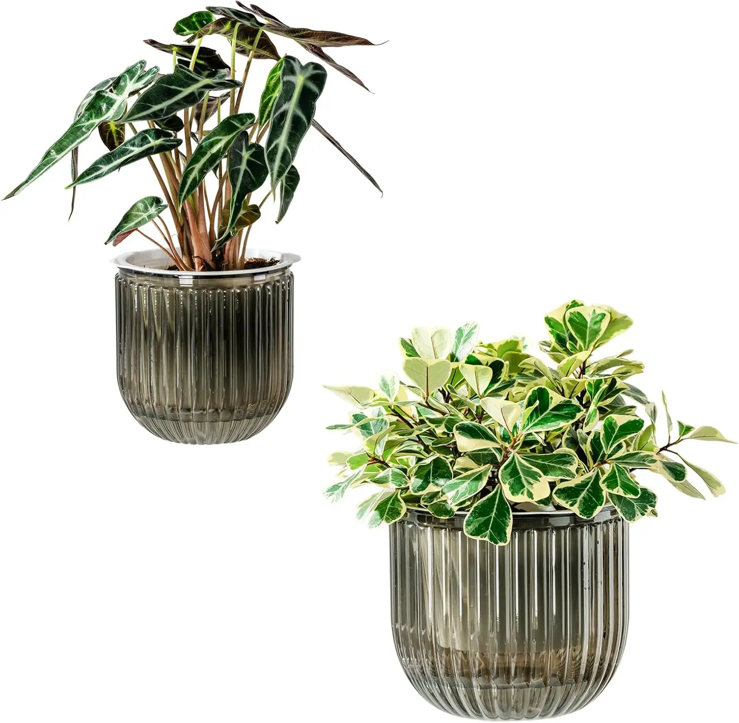 Self Watering Pots for Indoor Plants, 8.3/5.3 Inch 2 Pack Planters with Drainage
Self Watering Pots for Indoor Plants, 8.3/5.3 Inch 2 Pack Planters with Drainage