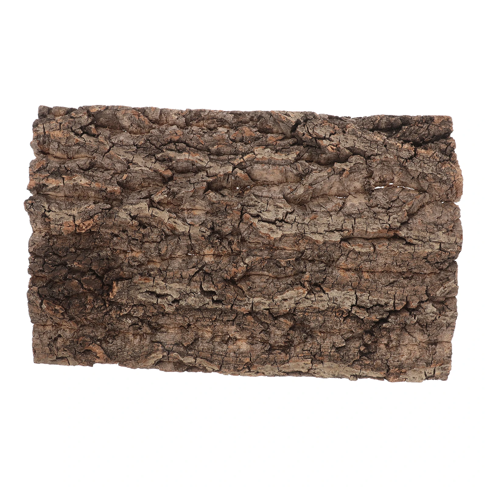 Natural Tree Bark Decorative Board for Reptile Terrarium Fish Tank Background leoopard Gecko Habitat Accessories Durable
Natural Tree Bark Decorative Board for Reptile Terrarium Fish Tank Background leoopard Gecko Habitat Accessories Durable