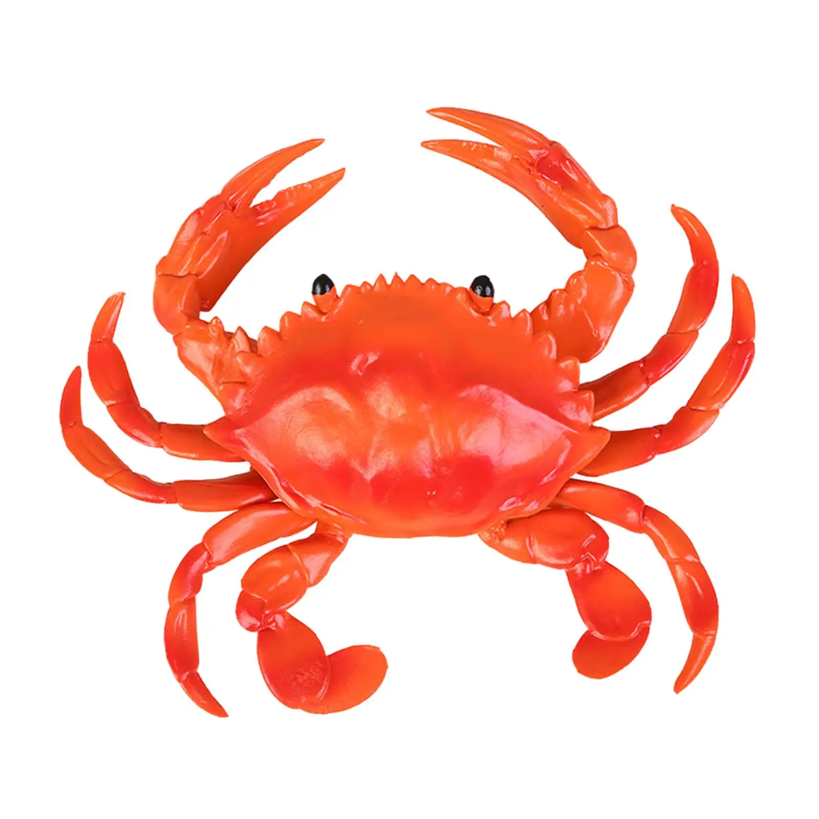 Realistic Crab Toy Desktop Decoration Collection Educational Learning Soft Kid Toy Sea Animal Figures Model for Girls Kids Boy
Realistic Crab Toy Desktop Decoration Collection Educational Learning Soft Kid Toy Sea Animal Figures Model for Girls Kids Boy