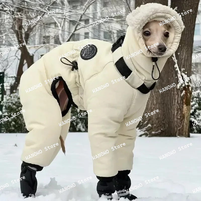 Super Thick Winter Pet Jacket Small-large Dog Clothes Whybit Bellington Greyhound Clothes Ropa Para Perros Dogs Accessories
Super Thick Winter Pet Jacket Small-large Dog Clothes Whybit Bellington Greyhound Clothes Ropa Para Perros Dogs Accessories