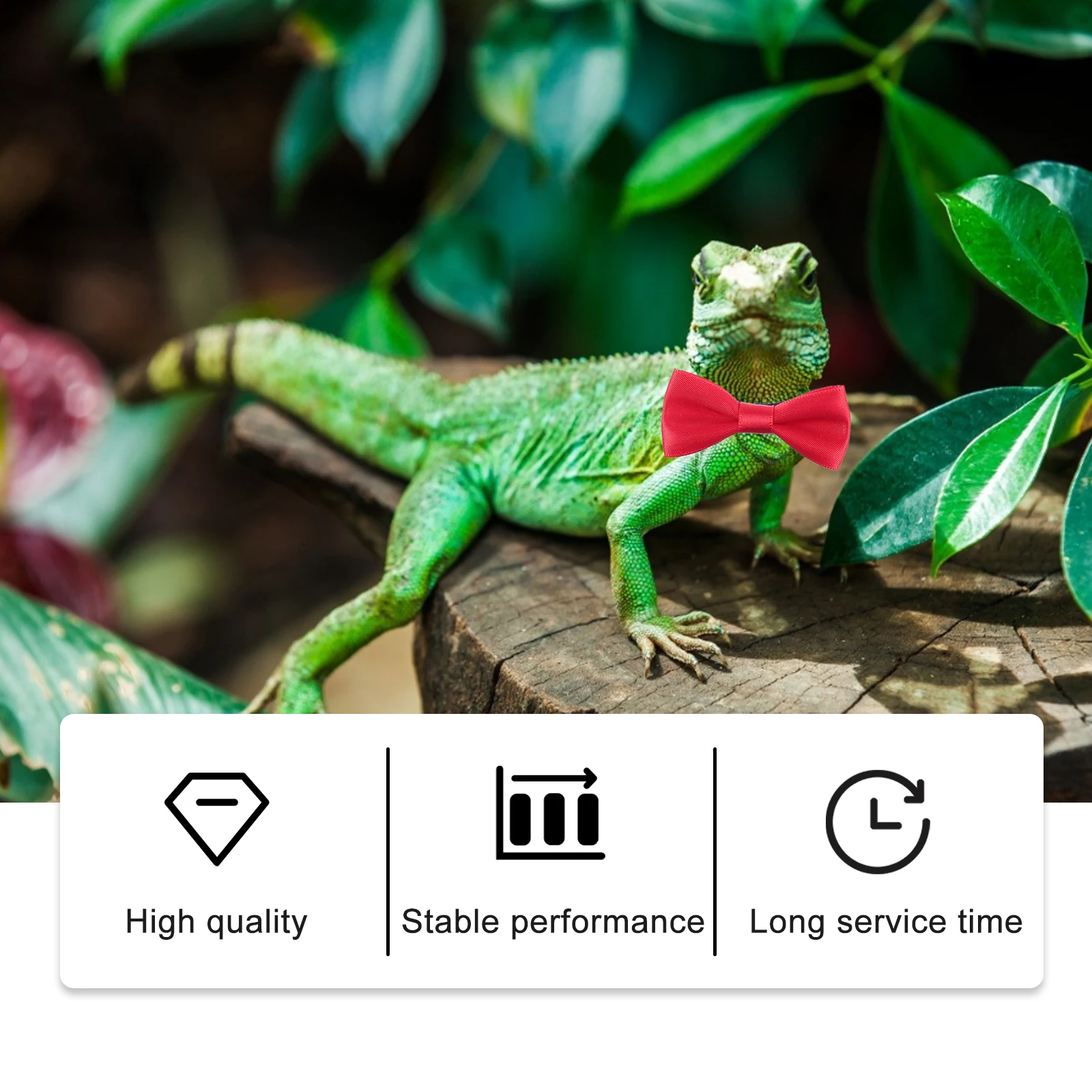 Reptile Costume Beard Crested Bearded Dragon Bowtie Non-woven Fabric Harness Kit
Reptile Costume Beard Crested Bearded Dragon Bowtie Non-woven Fabric Harness Kit