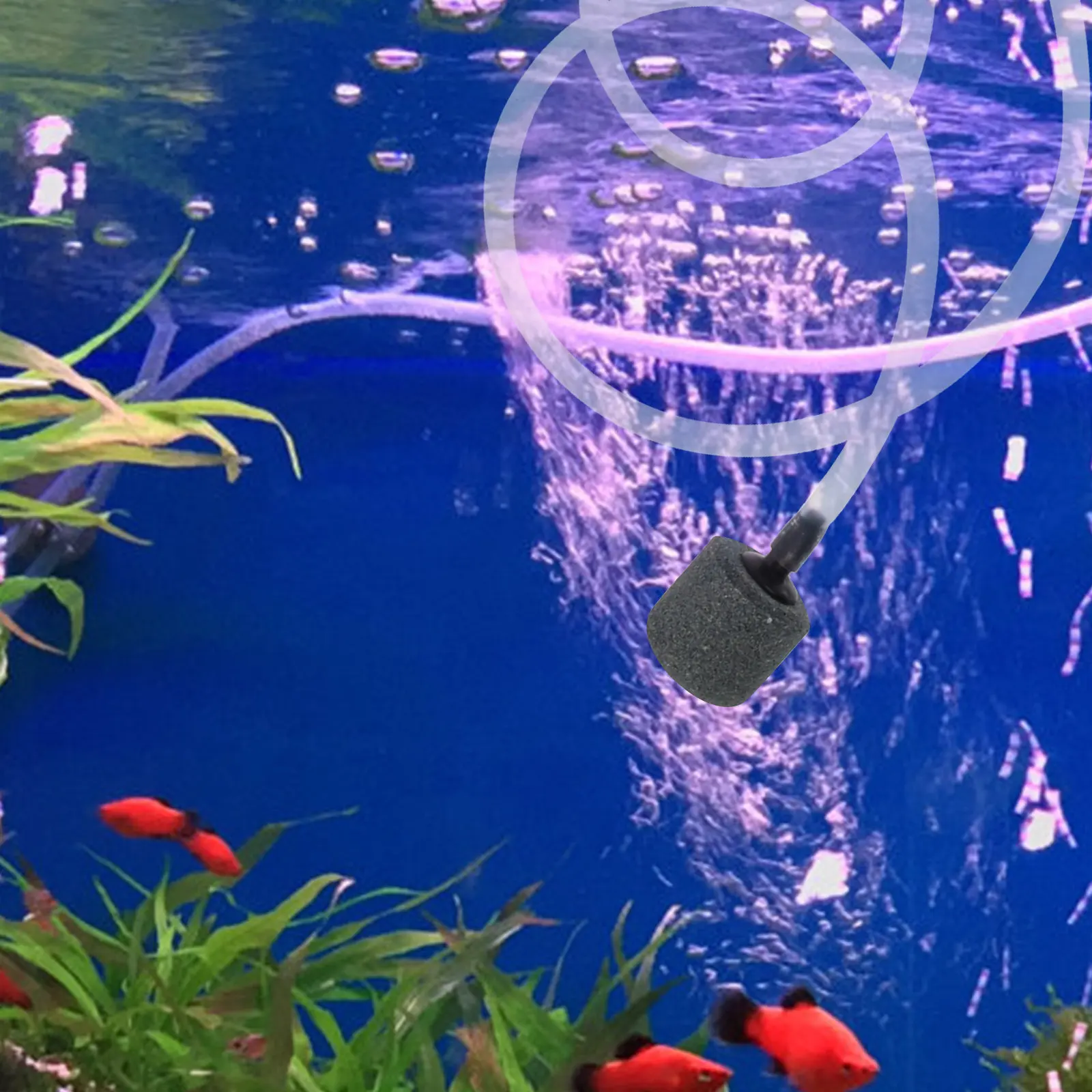 1 set Aquarium Air Pump Usb Mini Oxygen Aerator For Small Aquariums Home Fish Tank Aerator Portable Oxygenation Tool Fish Tank
1 set Aquarium Air Pump Usb Mini Oxygen Aerator For Small Aquariums Home Fish Tank Aerator Portable Oxygenation Tool Fish Tank