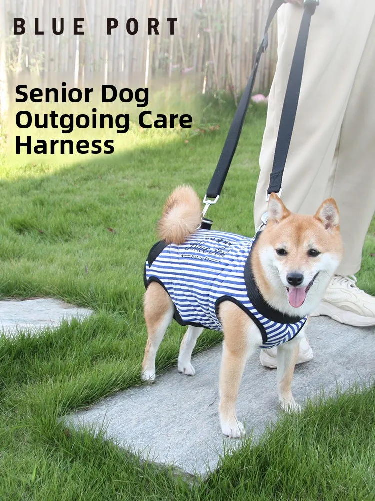 Blueport ly Dog Outing Care Paage Walking Aid Disabled Leg Rehabilitation Adjustable Dog Chest Ba Traction Lea
Blueport ly Dog Outing Care Paage Walking Aid Disabled Leg Rehabilitation Adjustable Dog Chest Ba Traction Lea