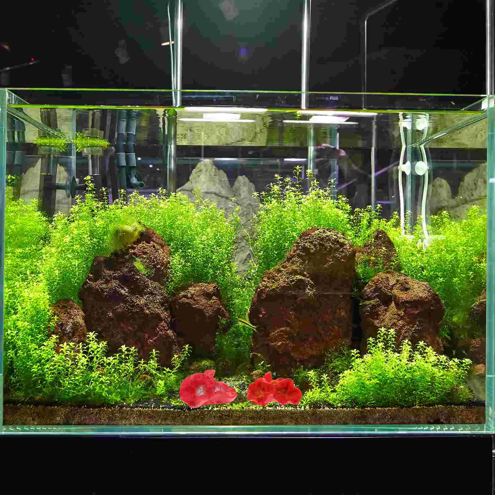 2 Pcs Fish Tank Landscaping Coral Ornament Aquarium Decoration Craft Simulated Floating Plants
2 Pcs Fish Tank Landscaping Coral Ornament Aquarium Decoration Craft Simulated Floating Plants