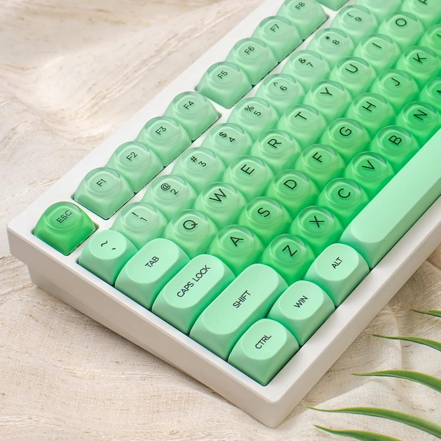 132 Keys PBTJelly Keycaps MOA Profile Green Keycaps Comaptible with Wooting Keyboard 61/64/87/104/108 Cherry Mx Switches Mechani
132 Keys PBTJelly Keycaps MOA Profile Green Keycaps Comaptible with Wooting Keyboard 61/64/87/104/108 Cherry Mx Switches Mechani