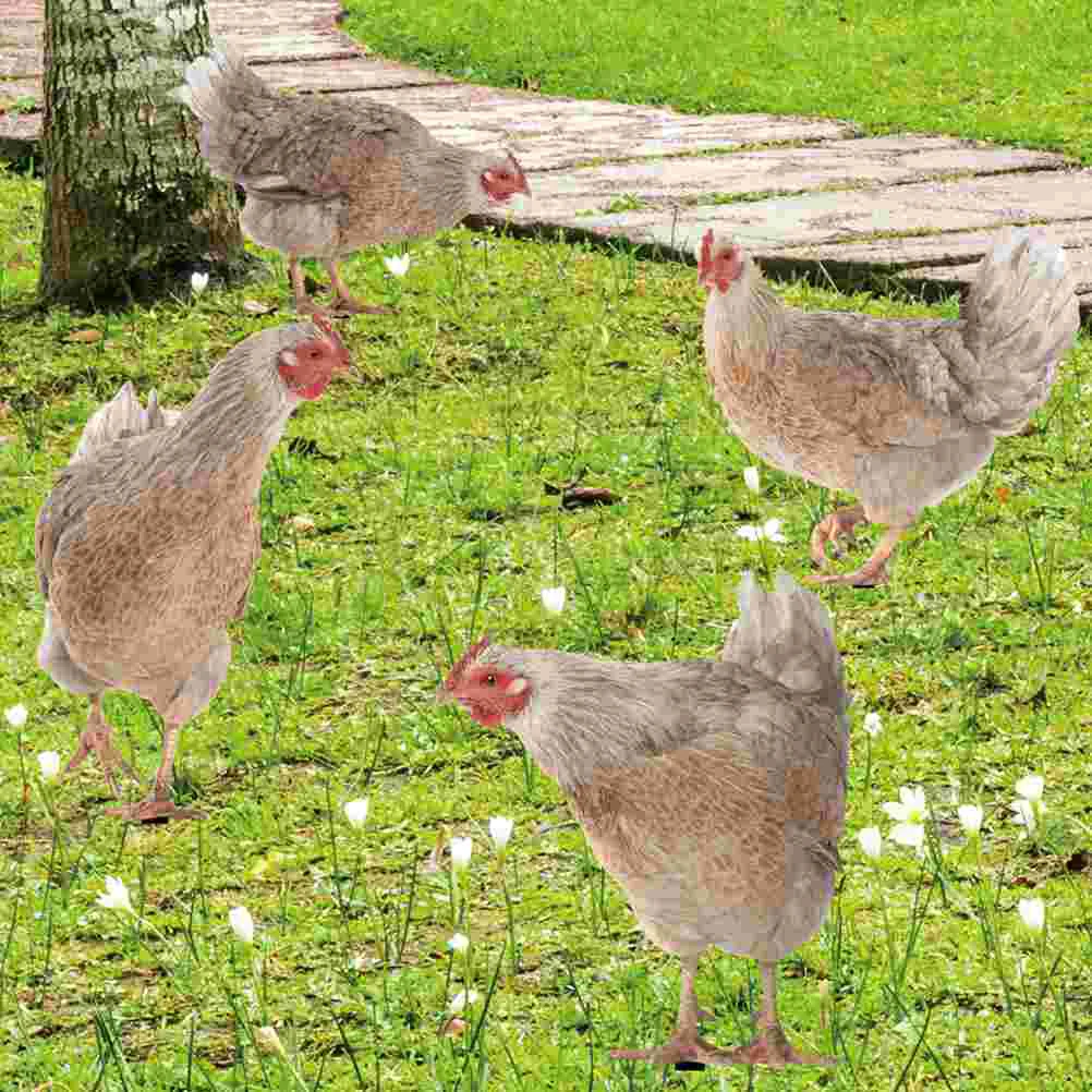 4 PcsGarden Lawn nament Lawn nament Yard Decoration Hen Shape For Outdoor Chicken Yard Sign Garden Yards
4 PcsGarden Lawn nament Lawn nament Yard Decoration Hen Shape For Outdoor Chicken Yard Sign Garden Yards