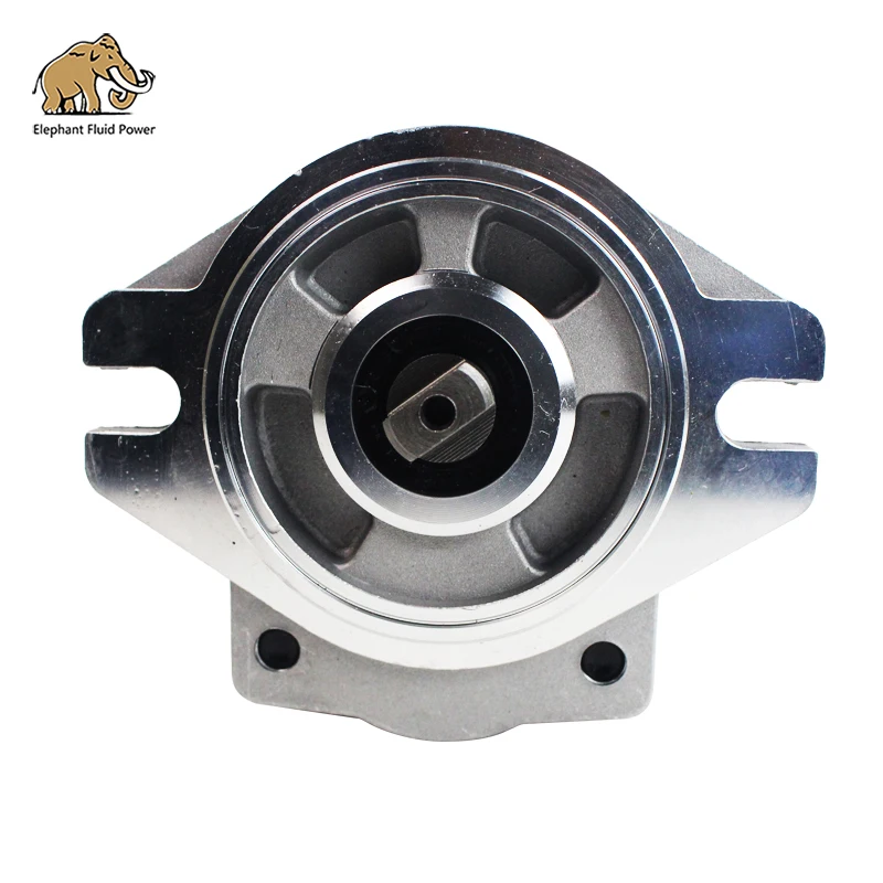 Hydraulic Pump Motor N-SBS120 Excavator Gear Pump Spare Parts for Carter 320C/D
Hydraulic Pump Motor N-SBS120 Excavator Gear Pump Spare Parts for Carter 320C/D