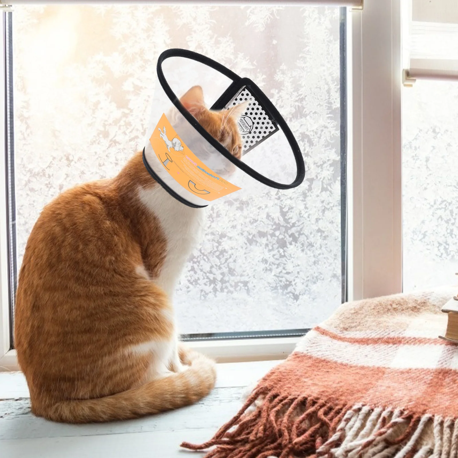 Pet Protection Collar Breathable Cat Collars Adjustable Supply Neck Accessories Cone
Pet Protection Collar Breathable Cat Collars Adjustable Supply Neck Accessories Cone