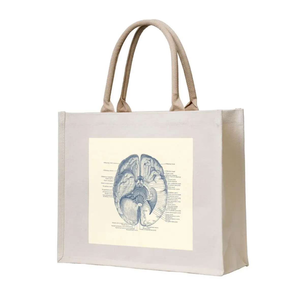 Brain Nervous System Diagram Tote Bag tote bag men's large tote bag Women's handbag Canvas stote
Brain Nervous System Diagram Tote Bag tote bag men's large tote bag Women's handbag Canvas stote