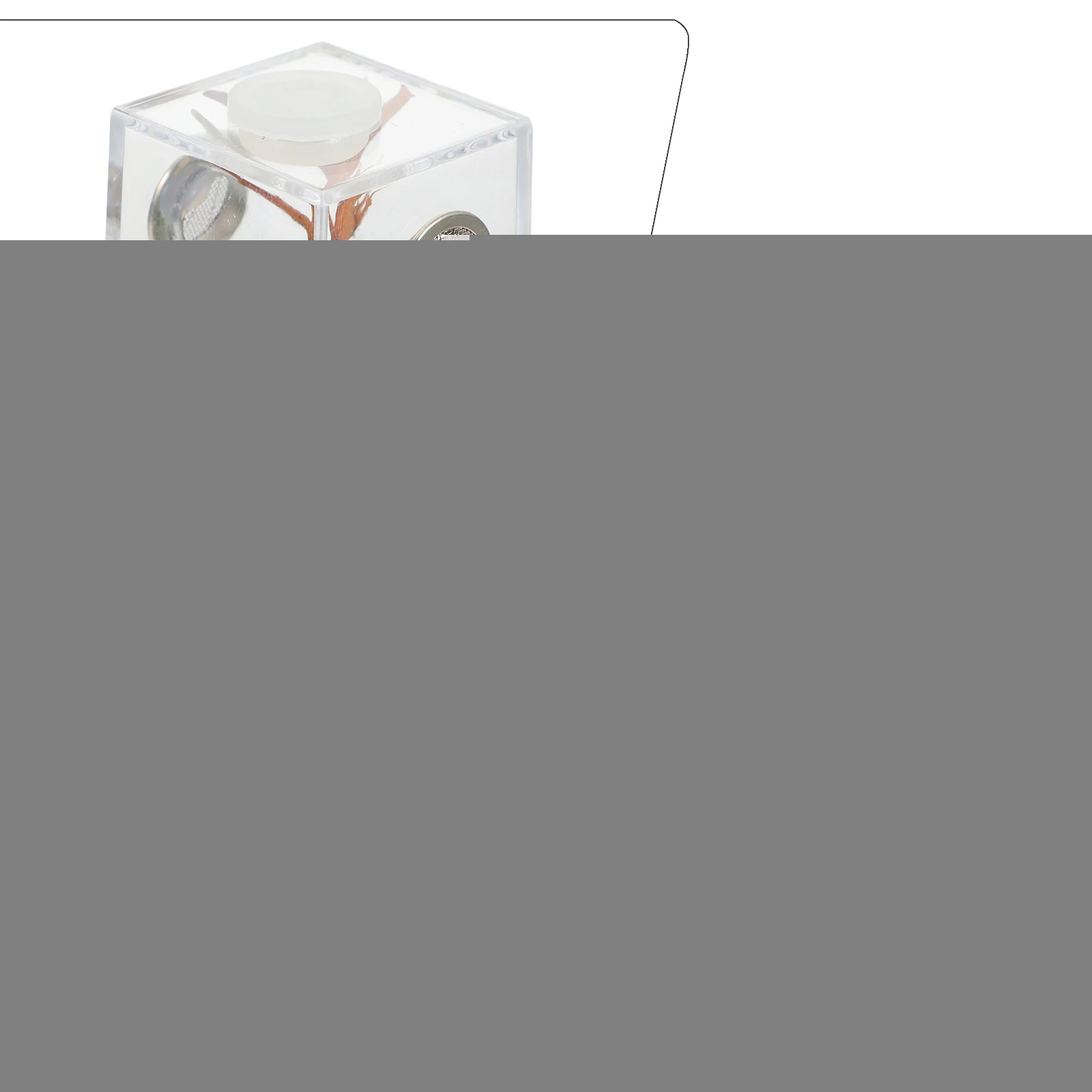 Jumping Spider Breeding Box Cage Encloser Home Habtat Habitat Kit Pet Cages and Habitats
Jumping Spider Breeding Box Cage Encloser Home Habtat Habitat Kit Pet Cages and Habitats