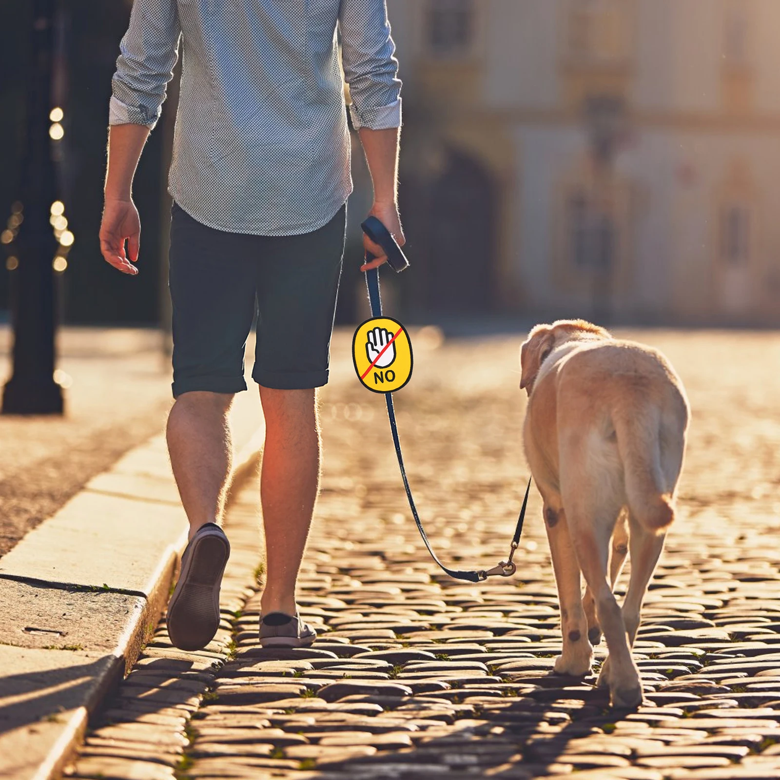 Tips Reminder Sticker Puppy Tag Pet Leash Decal Walking Accessory Removable Label Use Garden Sign Marker Social
Tips Reminder Sticker Puppy Tag Pet Leash Decal Walking Accessory Removable Label Use Garden Sign Marker Social