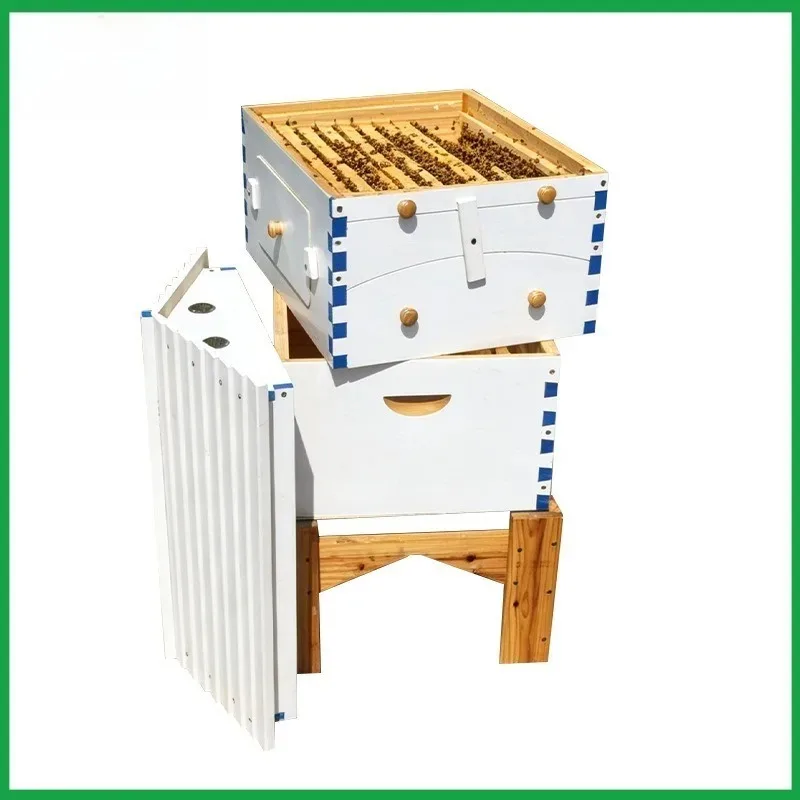 Self-flowing bee box, fir boil wax, automatic honey flow device, a full set of new beekeeping special tools
Self-flowing bee box, fir boil wax, automatic honey flow device, a full set of new beekeeping special tools