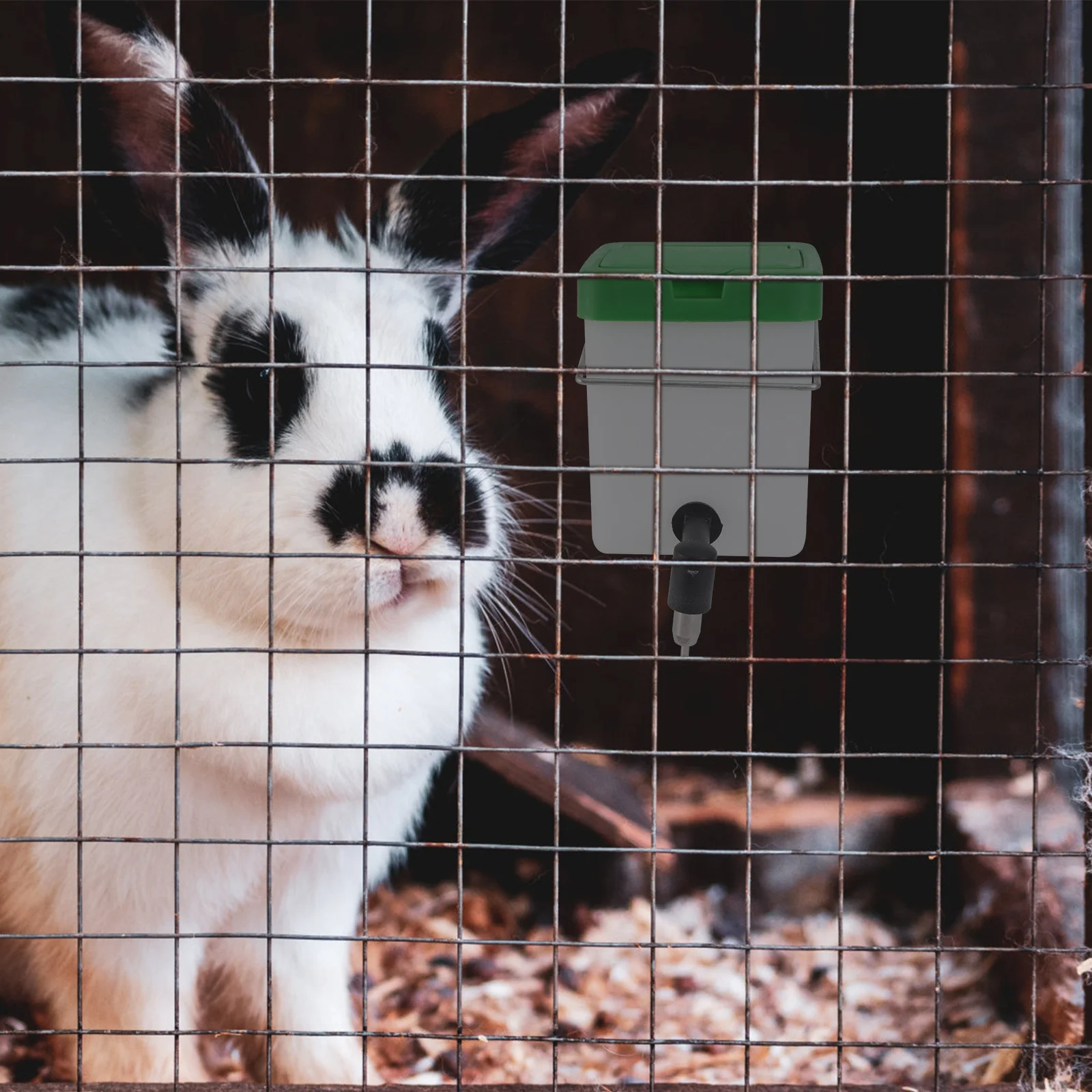 1Pcs Rabbit Water Fountain High-Quality Safe Auto Drink Supply Easy Install Clean White Water Fountain Drinking Equipment
1Pcs Rabbit Water Fountain High-Quality Safe Auto Drink Supply Easy Install Clean White Water Fountain Drinking Equipment