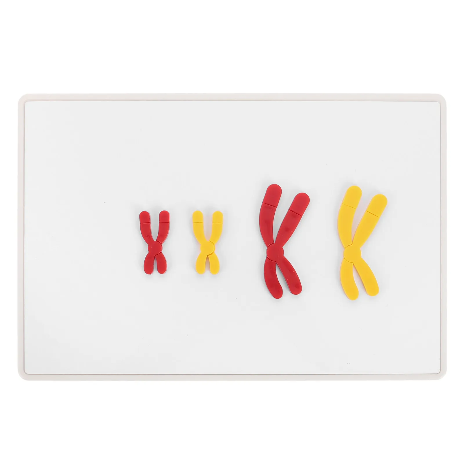 1 Set Change Display Magnetic Teaching Aid for Biology Classroom Middle School High School Teaching
1 Set Change Display Magnetic Teaching Aid for Biology Classroom Middle School High School Teaching